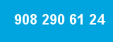 908 290 61 24